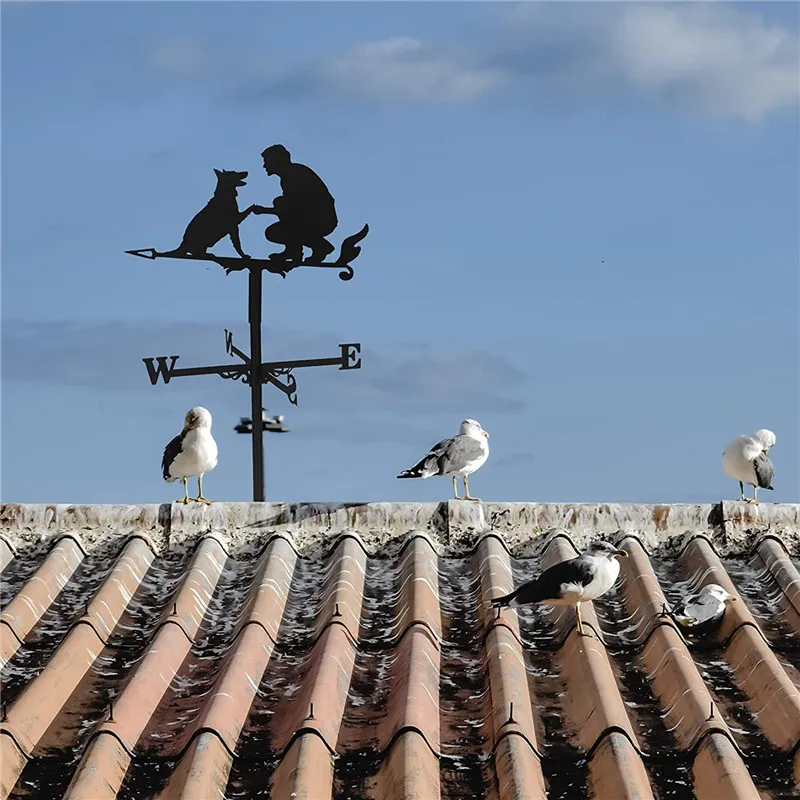 Weather Vane Stainless Steel Rooster Yard Garden Barn Ornament Collies Shed Kit Roofs