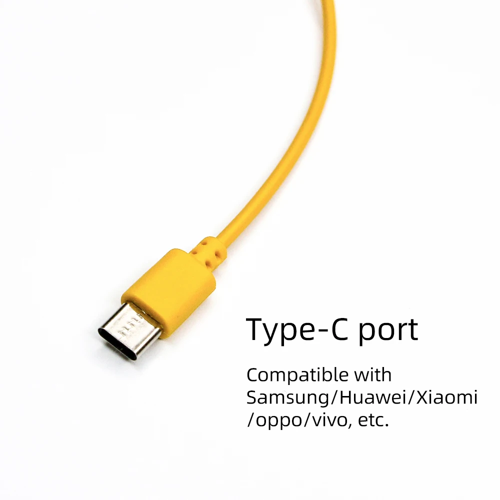 Multifunctional Ten-in-one Charging Cable Compatible SP/3DS/NDSL/WiiU/PSP