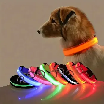 LED Night Safety Dog Leash & Glow-in-the-Dark Collar – Luminous & Reflective 1