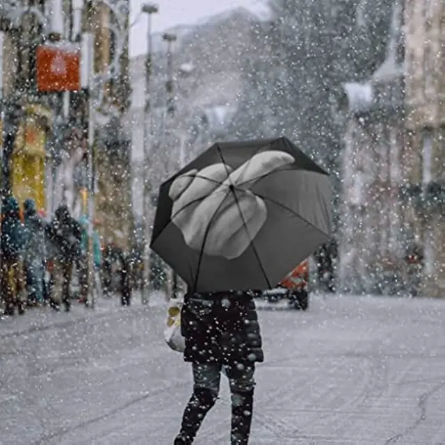 Vicces Összecsukható Esernyők, Kreatív Minta Esernyő, Középső Ujj Nyomtatott Könnyű Utazási Eső Esernyő - Image 4