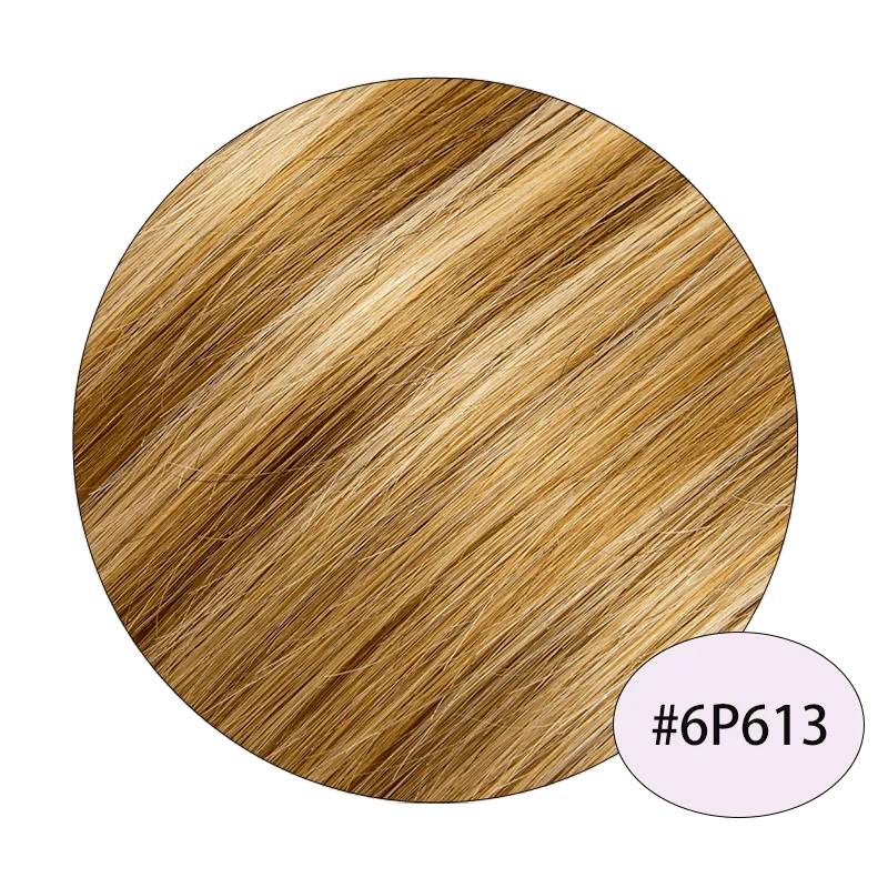 6P613