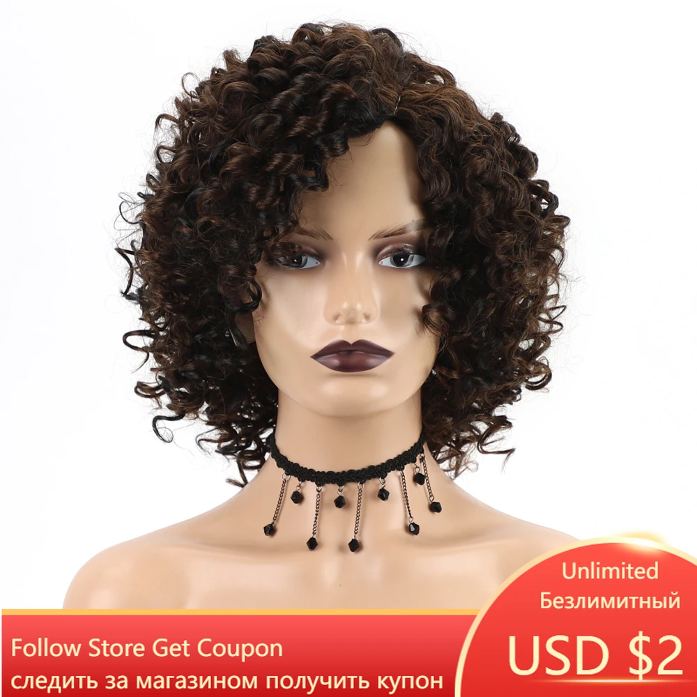 GNIMEGIL Female Afro Kinky Curly Wig Synthetic Fiber Colly Curls Wigs for Black Women Dark Brown Hair African American Wig Lady