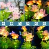 IP65 Waterproof Garden Lights Outdoor LED Solar Landscape Lamp for Garden Pathway Yard Lawn Backyard Home Decoration Flower Ligh 6