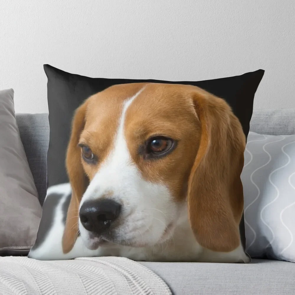 

Beagle on the Black Throw Pillow christmas supplies Room decorating items
