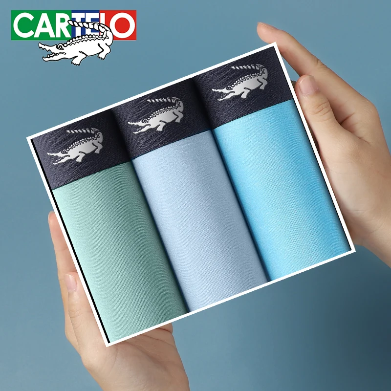 Cartelo Men Underwear 3A Grade Antibacterial Boxer  Regenerated cellulose Underpants Comfortable Breathable 3pcs Male panties