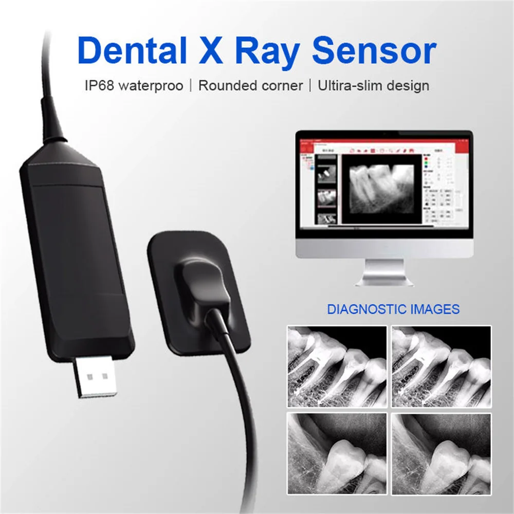 

Hot Sale Digital Intra-Oral X-ray Sensor USB Dental Dr X Ray Sensor Image RVG x-ray Sensor Mslfp12