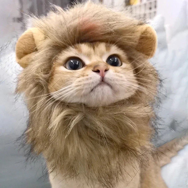 Cat Costume Cute Lion Mane Cat Wig Hat Cosplay Clothes Cap Dress