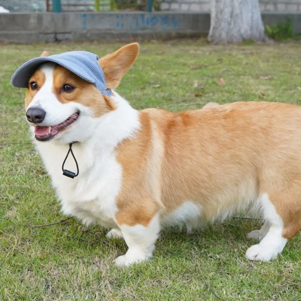 Adjustable Dog Sun Cap 4