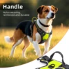 Dog Harness with Handle for Large & Medium Dogs, Breathable Padding Safety Pet Vest Outdoor dog walking harness 2
