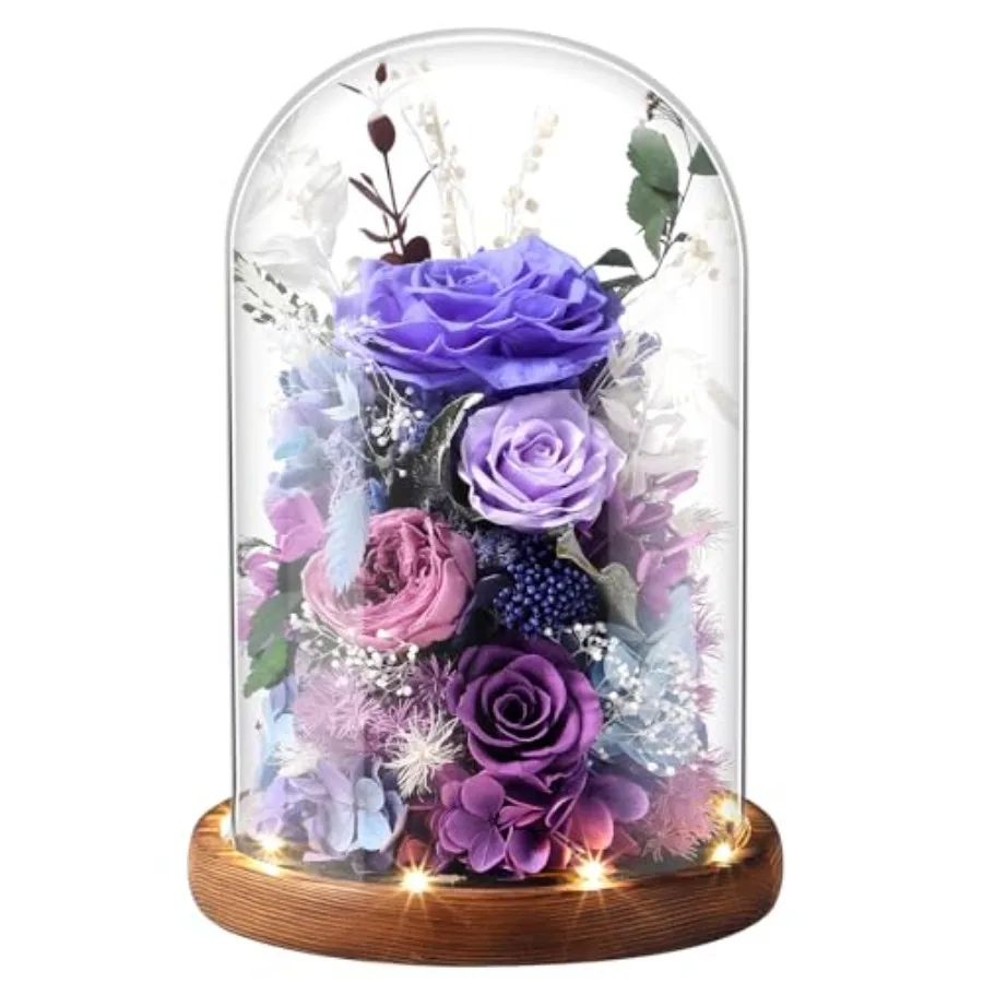Eternal Rose Flower Preserved Long Lasting Stable Color Natural Material Symbol of Everlasting Love for Wife Mothers Select Ann