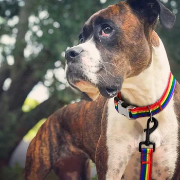 Forest Pattern Adjustable Dog Collar 6