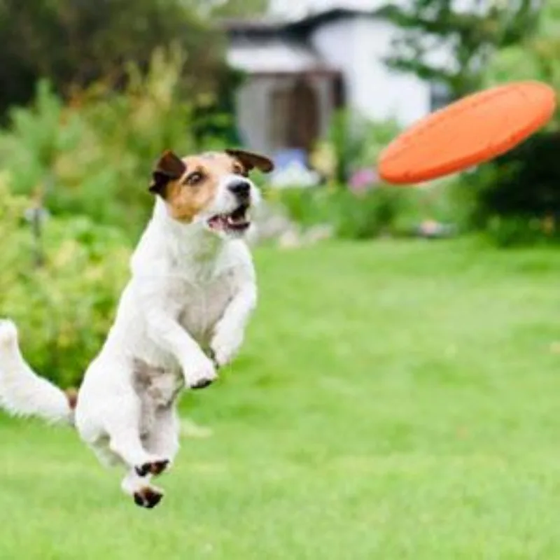 Flying Far