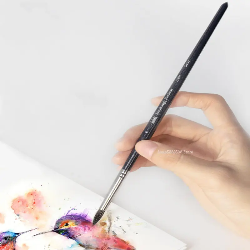 ���� ��� �� ��äȭ �귯�� Ķ���׶��� �귯�� ���� �׶��� ���� ǳ�� �׸� �̼� �л� ��Ʈ �ʱ� �̼� �����