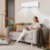 24000 BTU Wifi Enabled Mini Split Air Conditioner & Heater w/ Heat Pump 3
