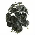 Black crystal anthur