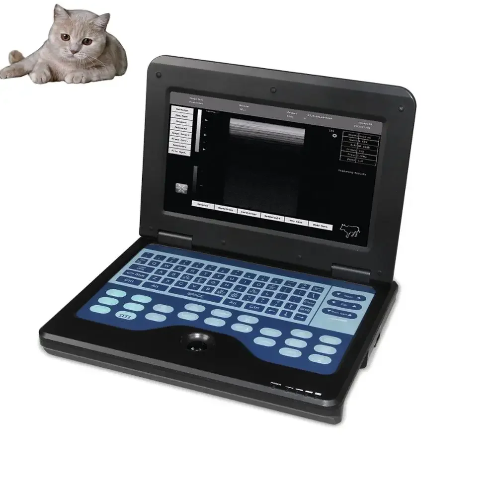 

Qinhuangdao CONTEC CMS600P2-VET портативный ультразвук животного в Китае