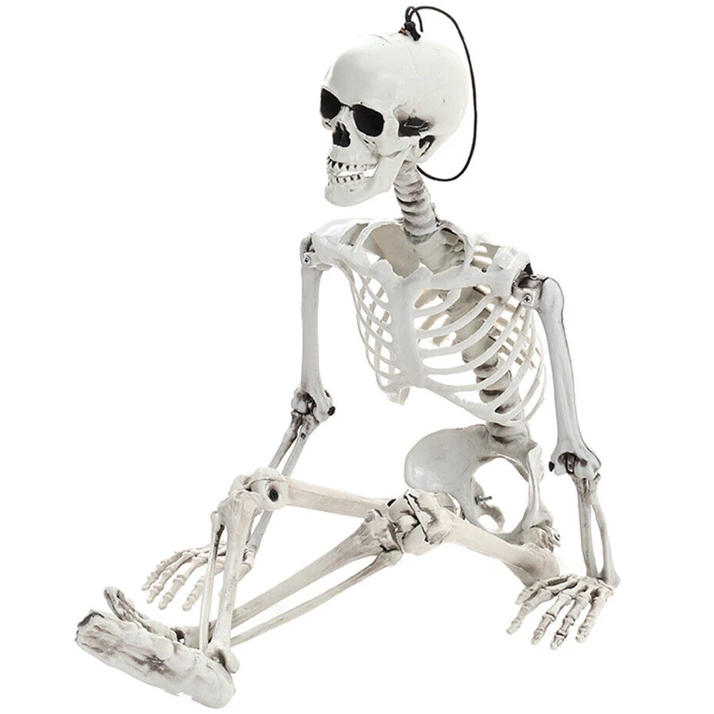 Royelux skeleton prop displayed as haunted house decor