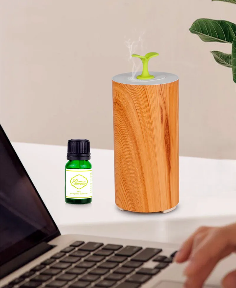 ALBA's Mini Car Waterless Essential Oils Diffuser