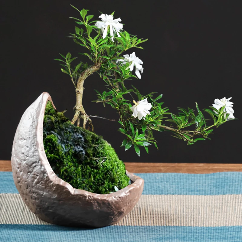 Vaso Bonsai Smaltato Tondo Cm. 26 Blu | Leroy Merlin - Foto 5