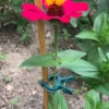 40PCS Plant Clips Garden Clips for Tomato Cage, Tomatoes Clips Plant Support Clips for Bamboo Stakes, Climbing Plants, Vines 3