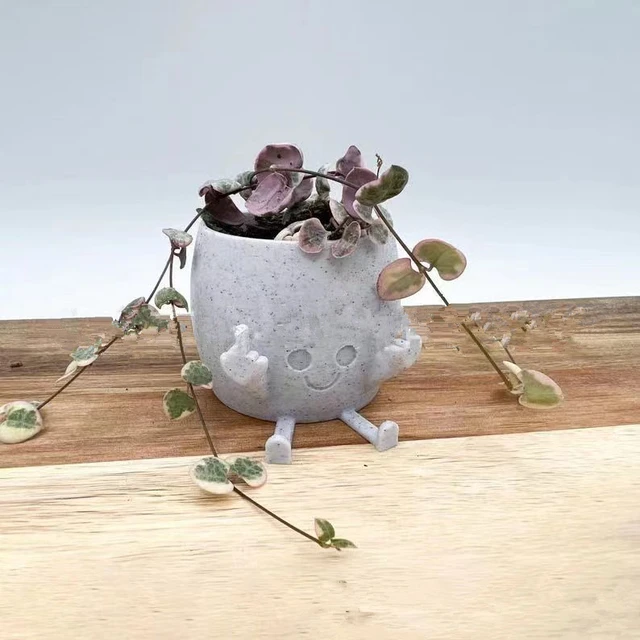 Aranyos Középső Ujj Boldog Ültetvényes Kawaii Zamatos Pot Virág Zöld Növények Háztartási Iroda Asztal Mini Díszítés - Image 2