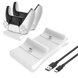 Dual Controller Charging Stand with Fast-Charging AC Adapter (White)
