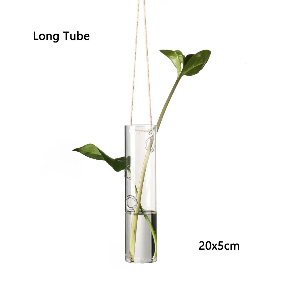 Elegant Hanging Glass Terrarium Vase for Hydroponic Plants and Home Decor