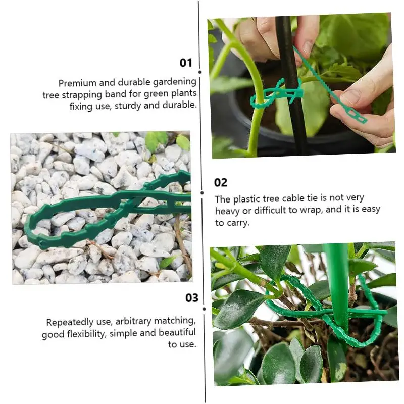 Plastic Plant Tie 13-34cm Adjustable and Reusable 10-50pcs For Climbing Garden Trees Supporting Grape and Tomato Stem Clips