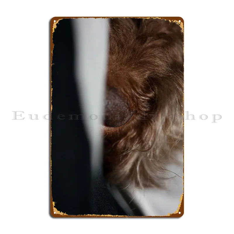 Lagotto Romagnolo Face Metal Plaque Poster Cinema Cinema Wall Decor Stampato Garage Tin Sign Poster