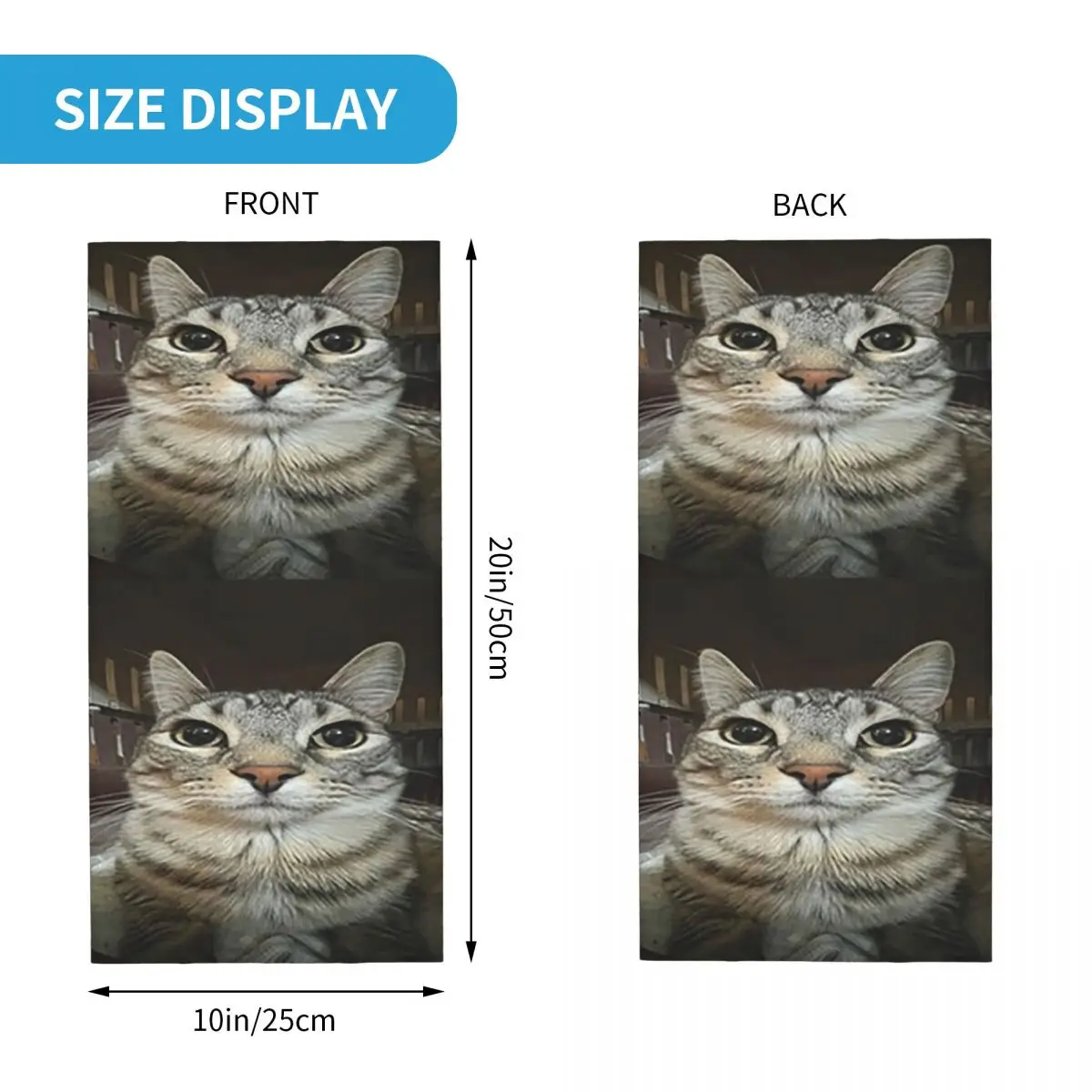 Cat Looking Directly At You Bandana Neck Cover Printed Wrap Scarf Warm FaceMask Outdoor Sports Unisex Adult Breathable