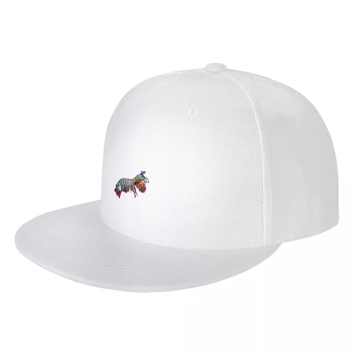 

Mantis Shrimp Hip Hop Hat new in the hat Ladies hat Men's
