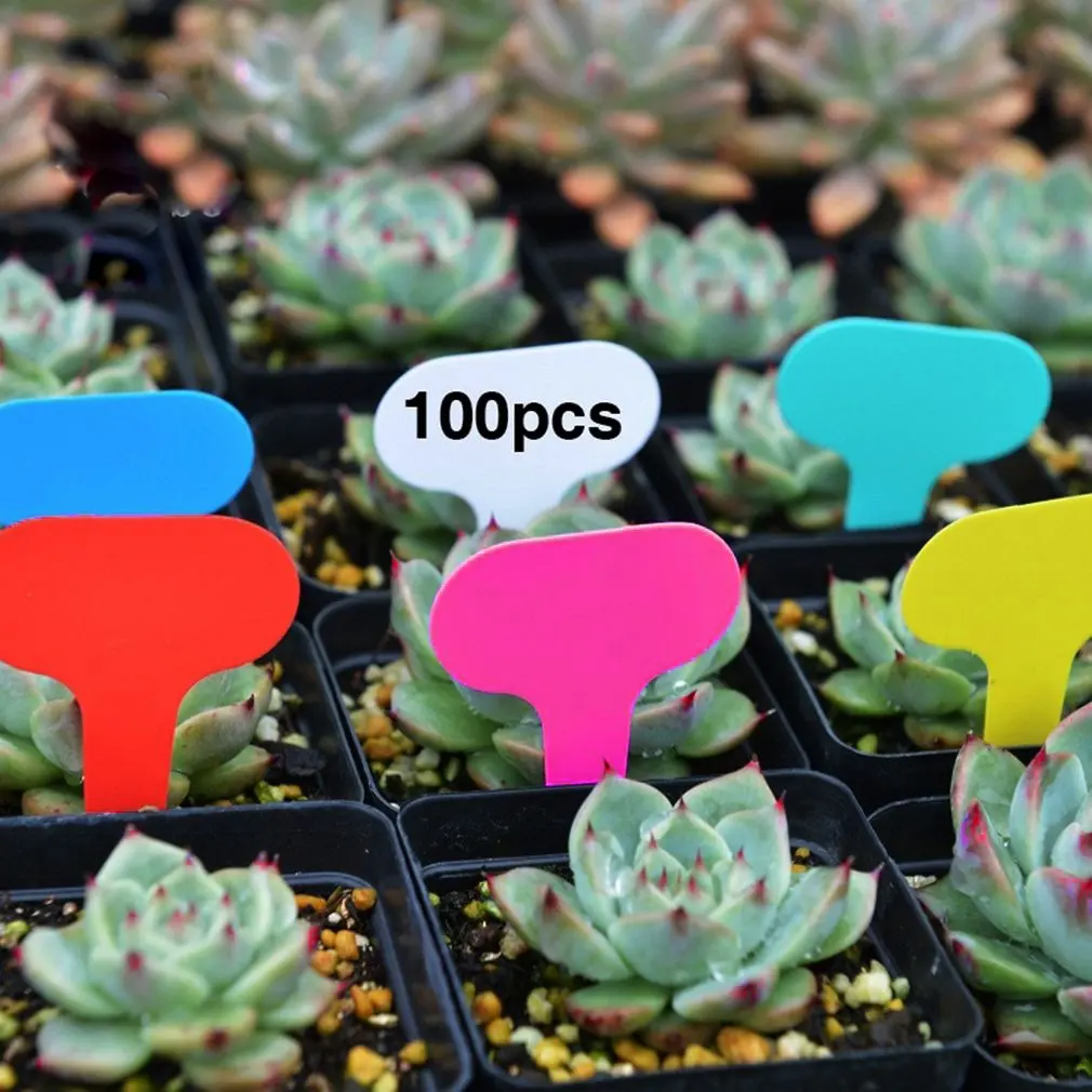 Colorful 100Pcs Plastic T-type Garden Tags Ornaments Plant Flower Label Nursery Thick Tag Markers For Plants Garden Decoration