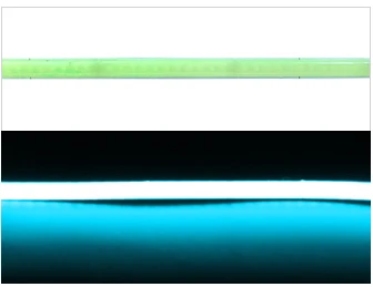 ตัวเลือกสินค้า OCONA DC 12V 24V Super Thin 4 มม.-สี COB ไฟ LED Strip สําหรับตู้รถ DIY 480LED สีฟ้า/สีชมพู/สีแดง/สีม่วง LED เทปริบบิ้น