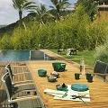 Green Forest Home Life Store