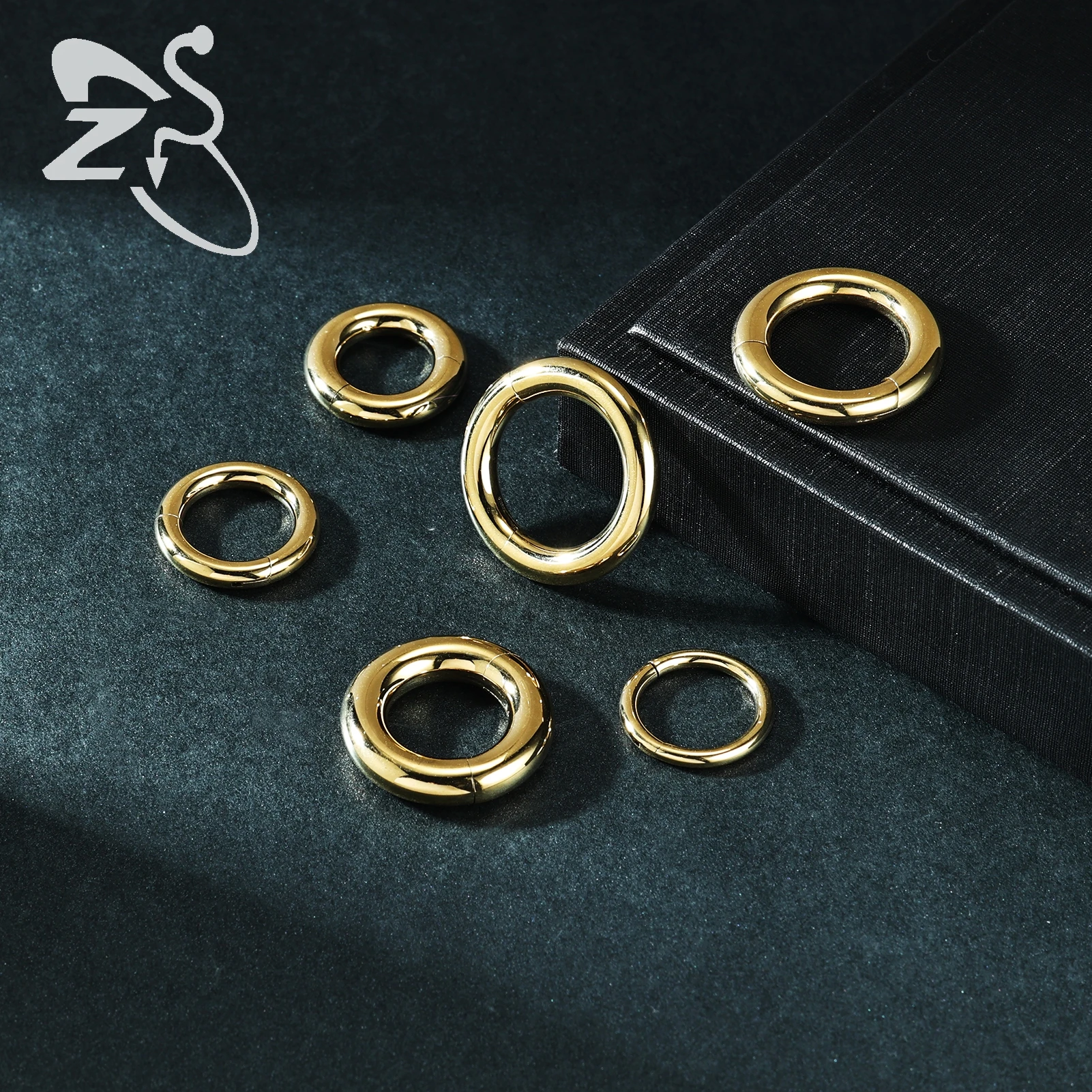 ZS 1PC G23 Titanium Hoop Earring for Women Gold Plated Circle Earring Large Gauge Nose Ring 2G/4G/6G/8G/10G/12G Punk Earrings 5