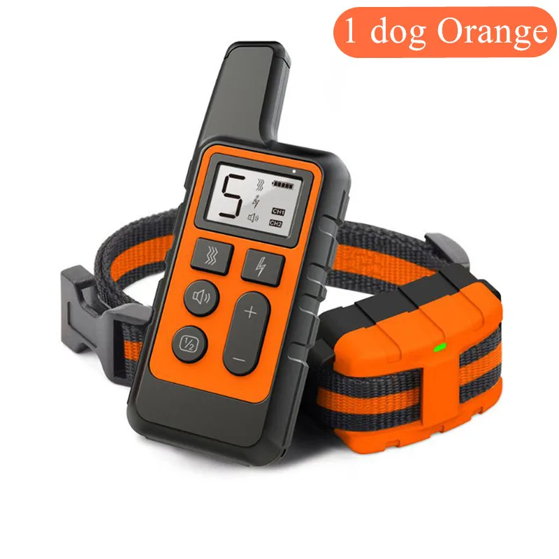 1 dog Orange