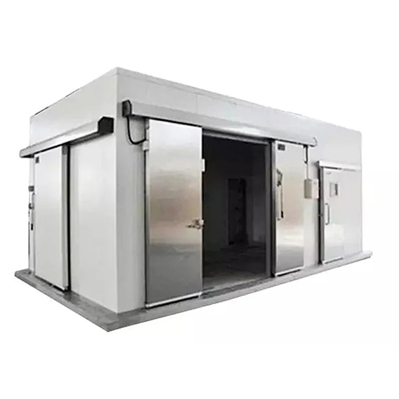 Cella Frigorifera Commerciale per Conservazione e Lavorazione di Alimenti Surgelati, per Pesce, Verdure, Gelato, Personalizzabile - immagine 3