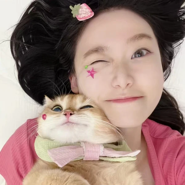 One Pet Accessories Store