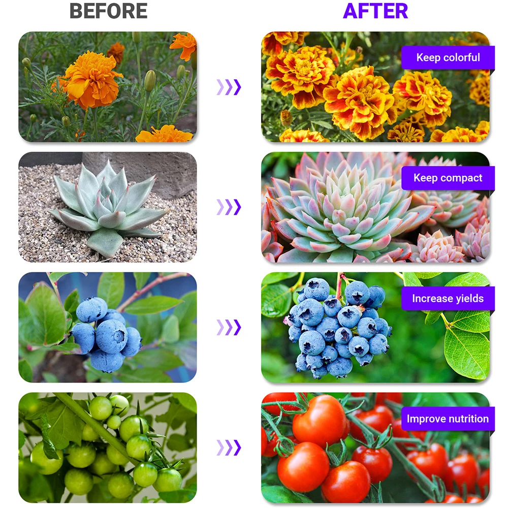 LED Grow Lamp AC 220V 230V Flood Lights Full Spectrum Hydroponics Seeding Flower Phytolamp Plant Lamps Plant Lighting LED