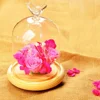 Valentines Day Gift Preserved Flower Glass Covered Dome with Bird Handle Wooden Base Valentines Day Mothers Day Gifts For Women 2