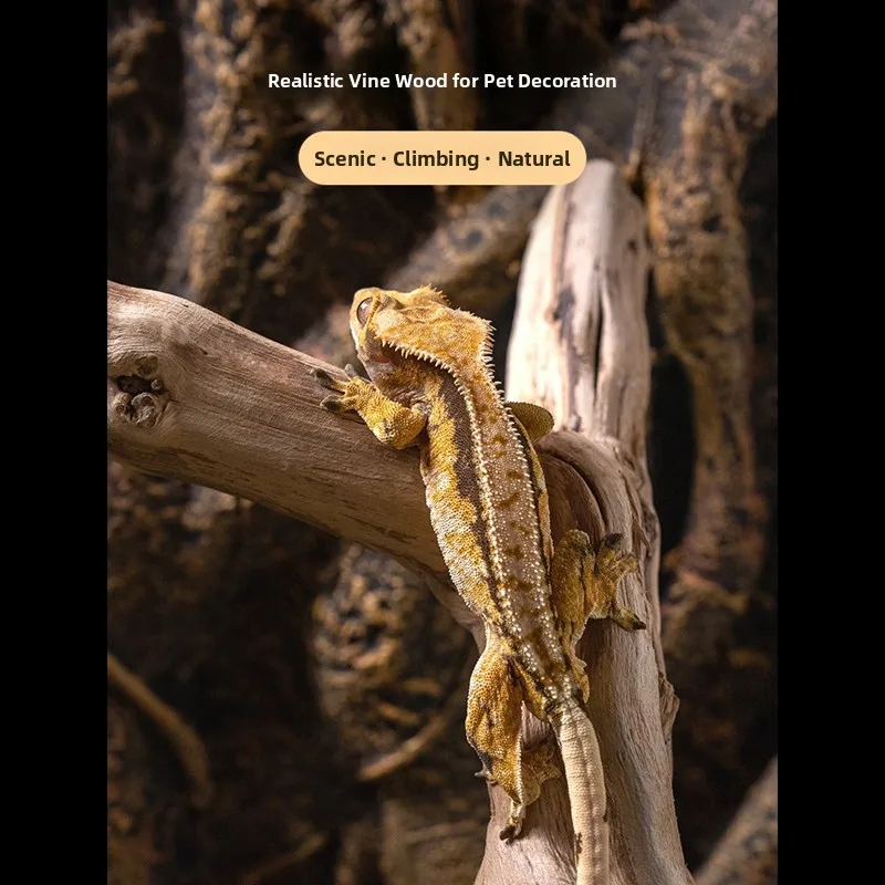 Dragon Patterned Vine Wood Bonsai Tree Roots Reptile Breeding Tank Decoration Real Wood Lacape Supplies for Aquatic Equipment