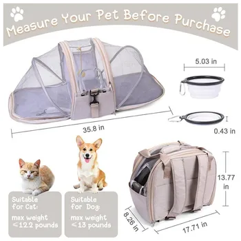 Collapsible Pet Travel Carrier 1