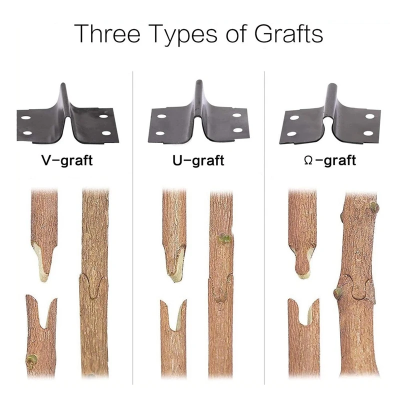 Grafting Pruner Garden Tool Branch Cutter Secateur Pruning Plant Shears Boxes Fruit Tree Scissor Chopper Vaccination Cut 4