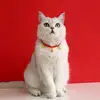 Lucky Necklace Festive Atmosphere New Year Spring Festival Rabbit Small Dog Pet Supplies Festive Red Rope Collar New Year Party 3