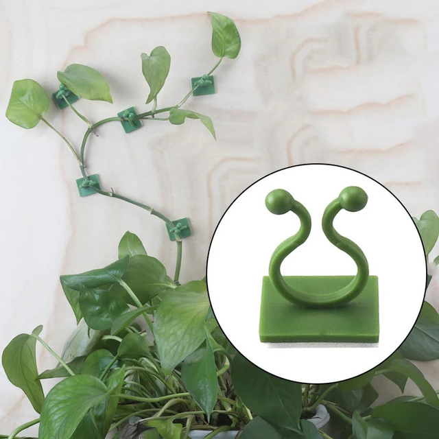 Növényi Hegymászó Fali Klipek Szőlő Csat Rögzítő Ön Adagoló Stent Láthatatlan Szőlőmászó Rögzített Konzol - Image 2