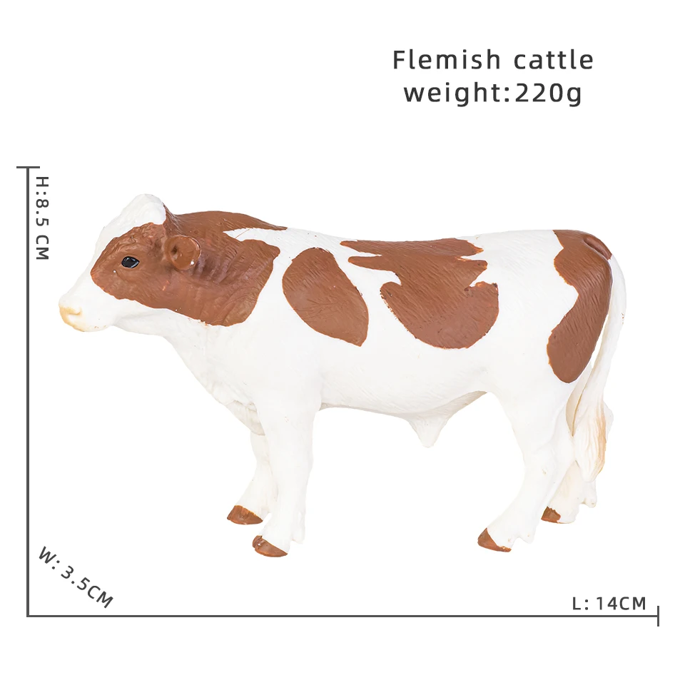 Flemish cattle