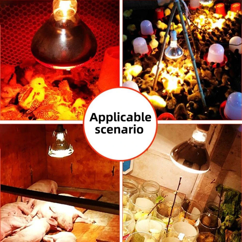 220V Infrared Heating Bulb Lamp 100/150/200/275W for Amphibians Reptiles Poultry Pets Livestock E27 Chicken Duck Farm Supplies 2