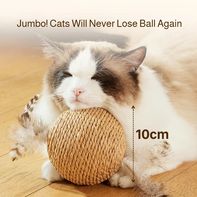 8/10CM Interactive Sisal Cat Scratching Ball Toy For Kitten Teeth Cleaning Anti Bite Cat Ball Sounding Toy Pet Supplies 2