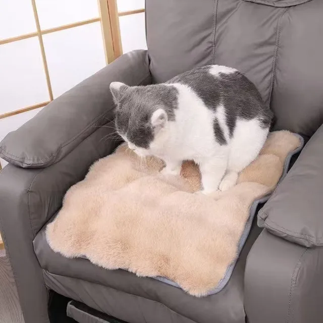 Ultra-Soft Pet mat Winter Warm Dog Blanket Cat bed Sofa Mat Super Comfortable Pet Blanket Pad Mat for Cats Dogs Sleeping Mat 3