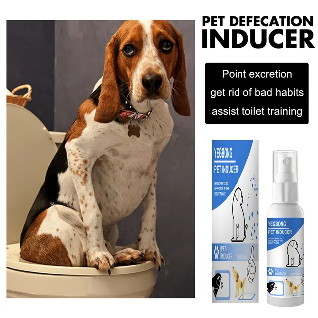 30ml Pet Dog Spray Inducer Pet Corrector Spray Guide Pet To 40 OFF 30ml-pet-dog-spray-inducer-pet-corrector-spray-guide-pet-to-40-off